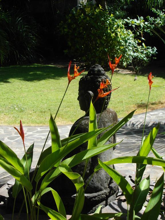 Guest house Jukung Bali Amed (Bali)